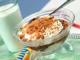 Ice Cream Dessert | DianasDesserts.com
